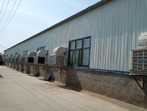 河南洛陽冷風(fēng)機(jī)安裝實(shí)例